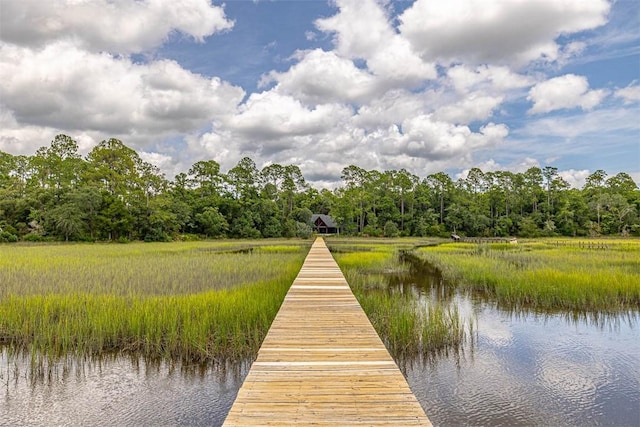 dock area with a water view