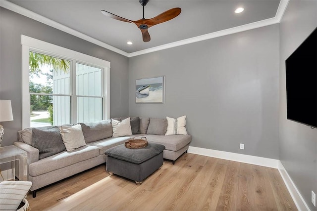 living room with light hardwood / wood-style flooring, ceiling fan, and ornamental molding