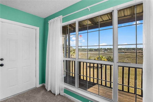 entryway with carpet, baseboards, a textured ceiling, and a rural view