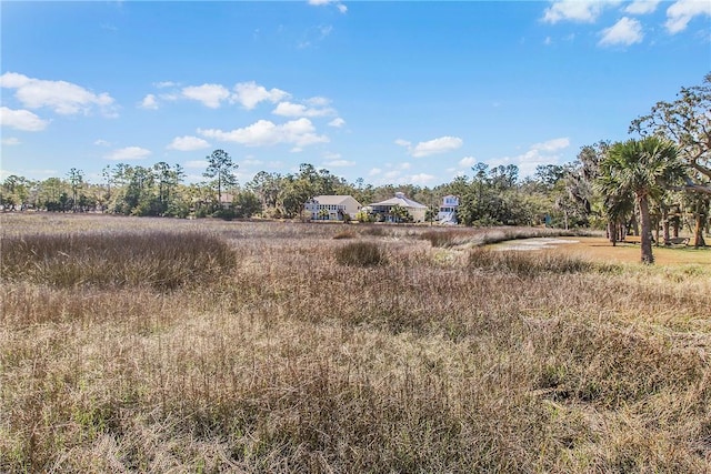 view of local wilderness with a rural view