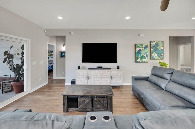 living room featuring light hardwood / wood-style floors