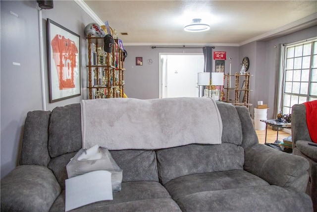 320 Brobston St, Baxley, GA 31513 - living room with crown molding