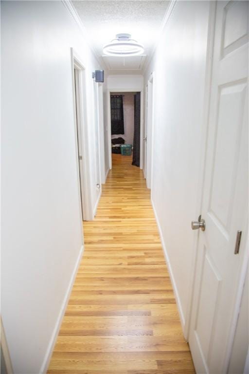 320 Brobston St, Baxley, GA 31513 - corridor with ornamental molding, light wood finished floors, and a textured ceiling