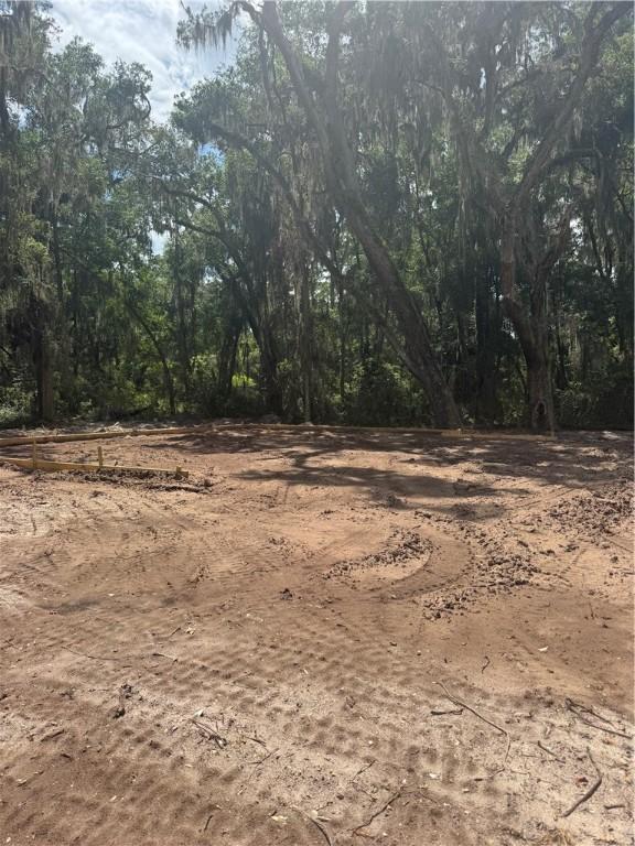 1 Horton Way, Saint Simons Island, GA 31522 - view of nature