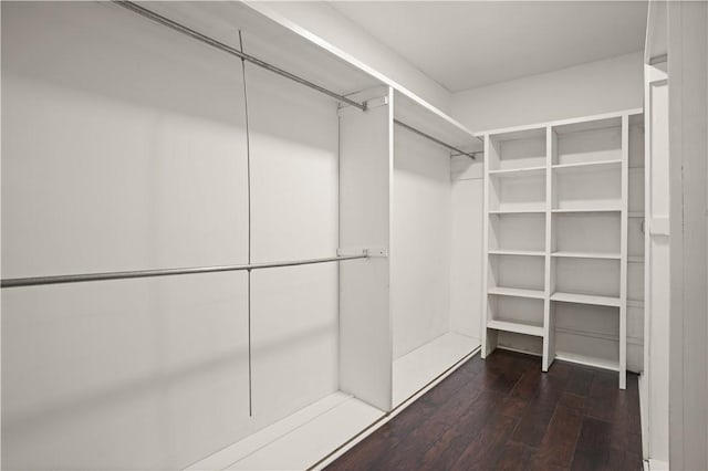 walk in closet with dark hardwood / wood-style flooring