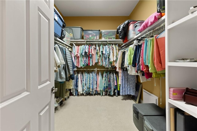 walk in closet featuring carpet floors