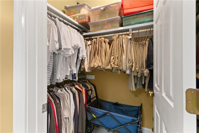 view of spacious closet