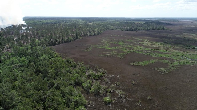3009 Horse Stamp Church Rd, Waverly, GA 31565 LAND for sale