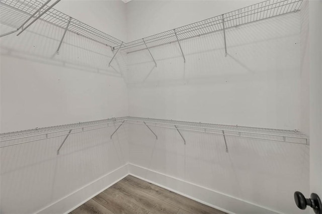 spacious closet with wood-type flooring