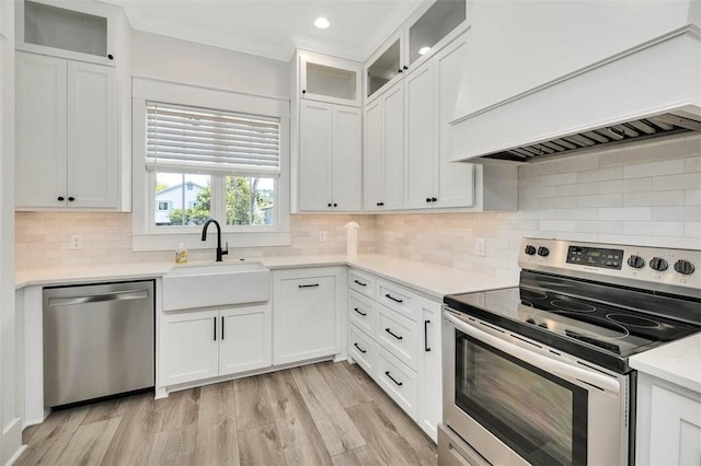 kitchen featuring sink, white cabinets, stainless steel appliances, and custom exhaust hood