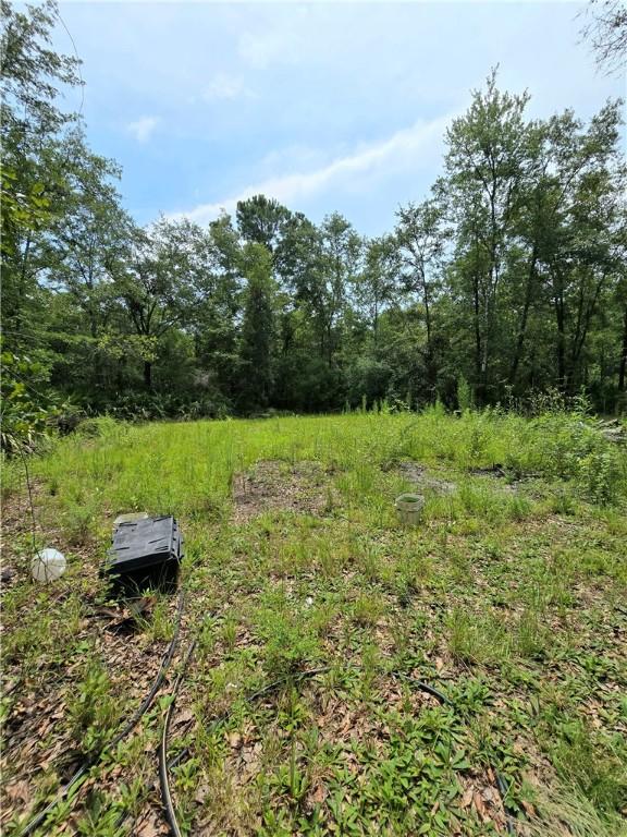 603 Sams Trl, Hortense, GA 31543