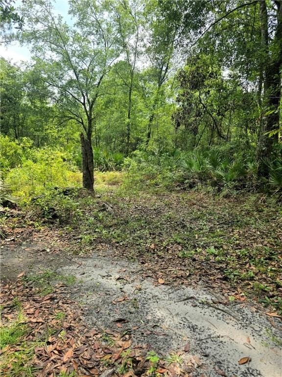 603 Sams Trl, Hortense, GA 31543