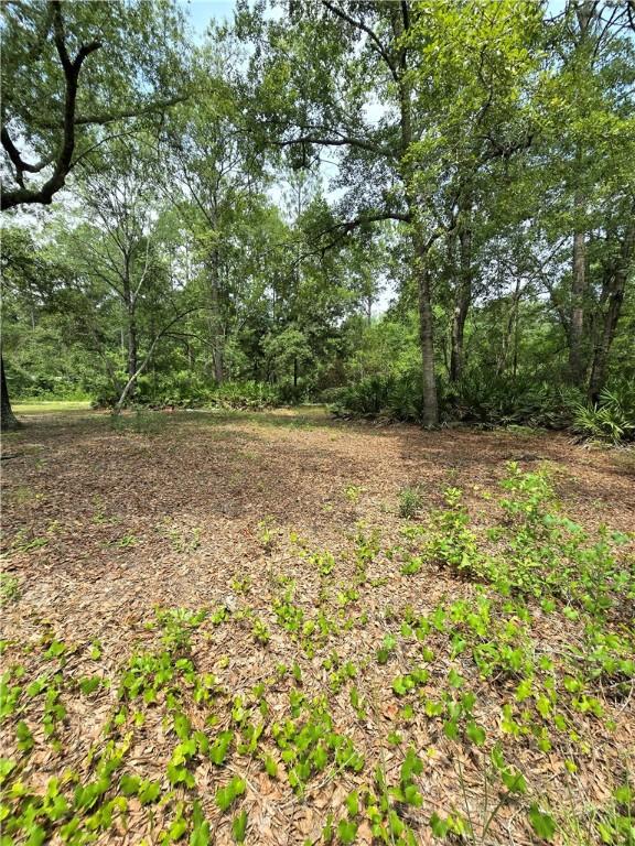 603 Sams Trl, Hortense, GA 31543
