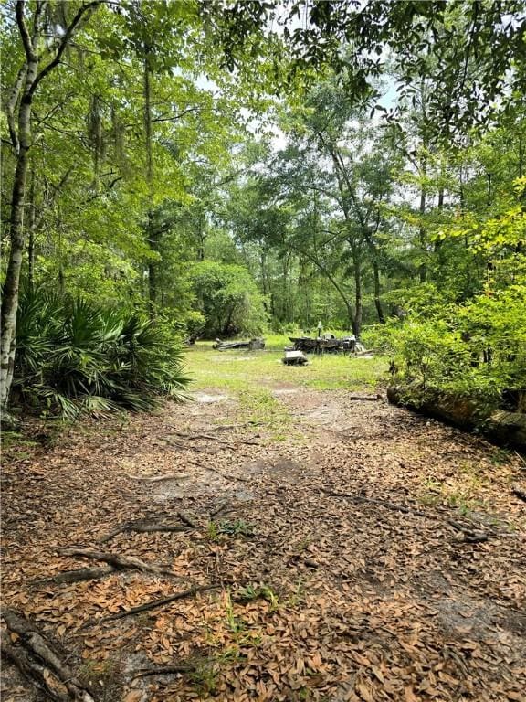 603 Sams Trl, Hortense, GA 31543