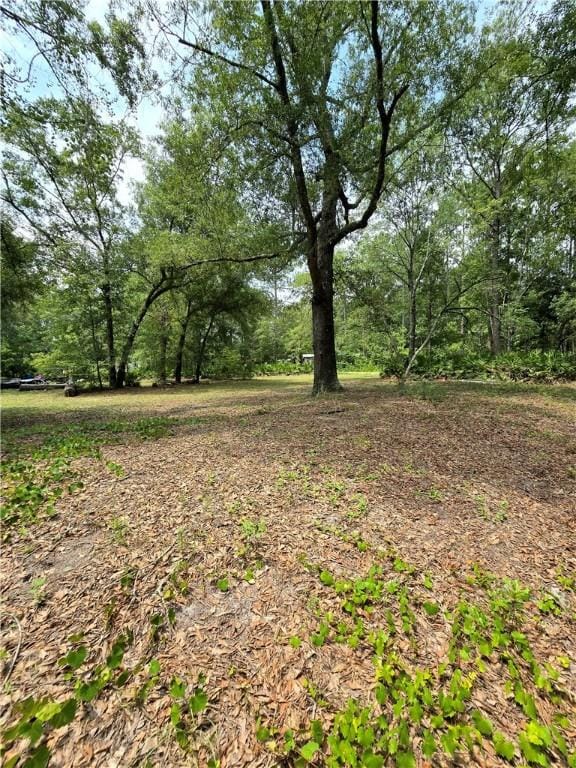 603 Sams Trl, Hortense, GA 31543