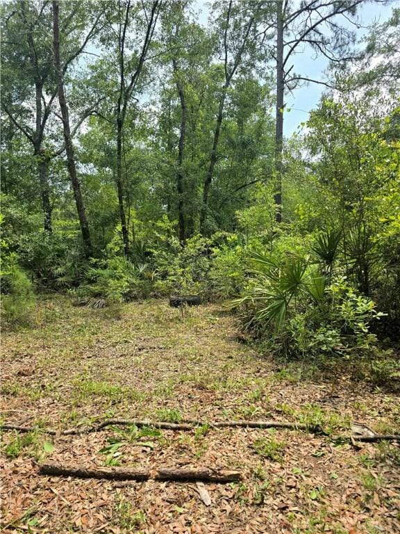 603 Sams Trl, Hortense, GA 31543