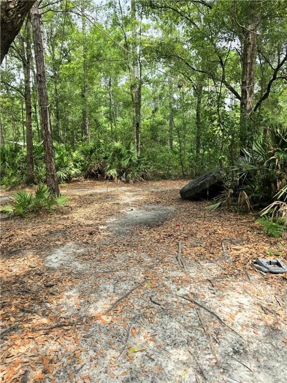 603 Sams Trl, Hortense, GA 31543