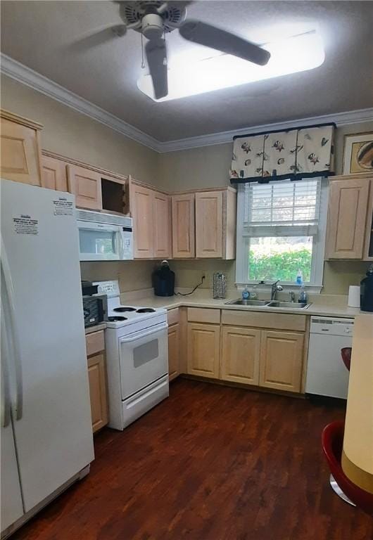 850 Mallery St Unit 1S, Saint Simons Island, GA 31522 - photo 9