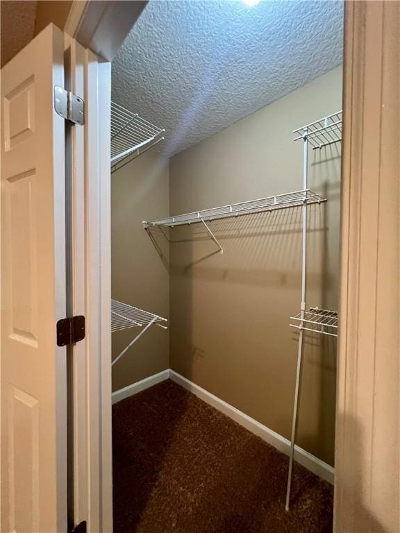 spacious closet with carpet floors