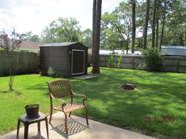 view of yard featuring a patio area and a storage shed