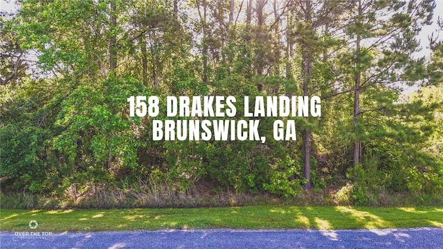 158 Drakes Lndg, Brunswick, GA 31520 - photo 1