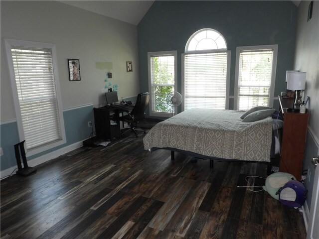 bedroom with multiple windows, dark hardwood / wood-style flooring, and high vaulted ceiling