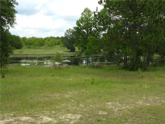 view of landscape featuring a water view