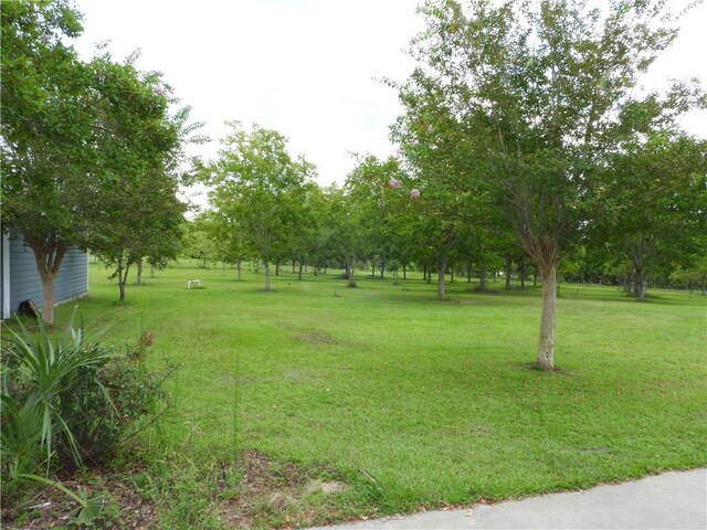 view of property's community featuring a yard