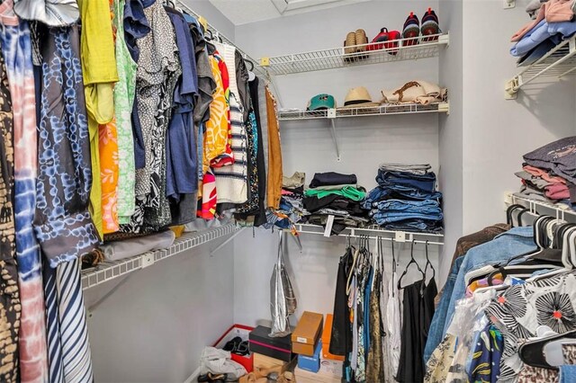 view of spacious closet