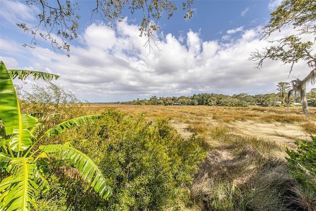 view of local wilderness featuring a rural view