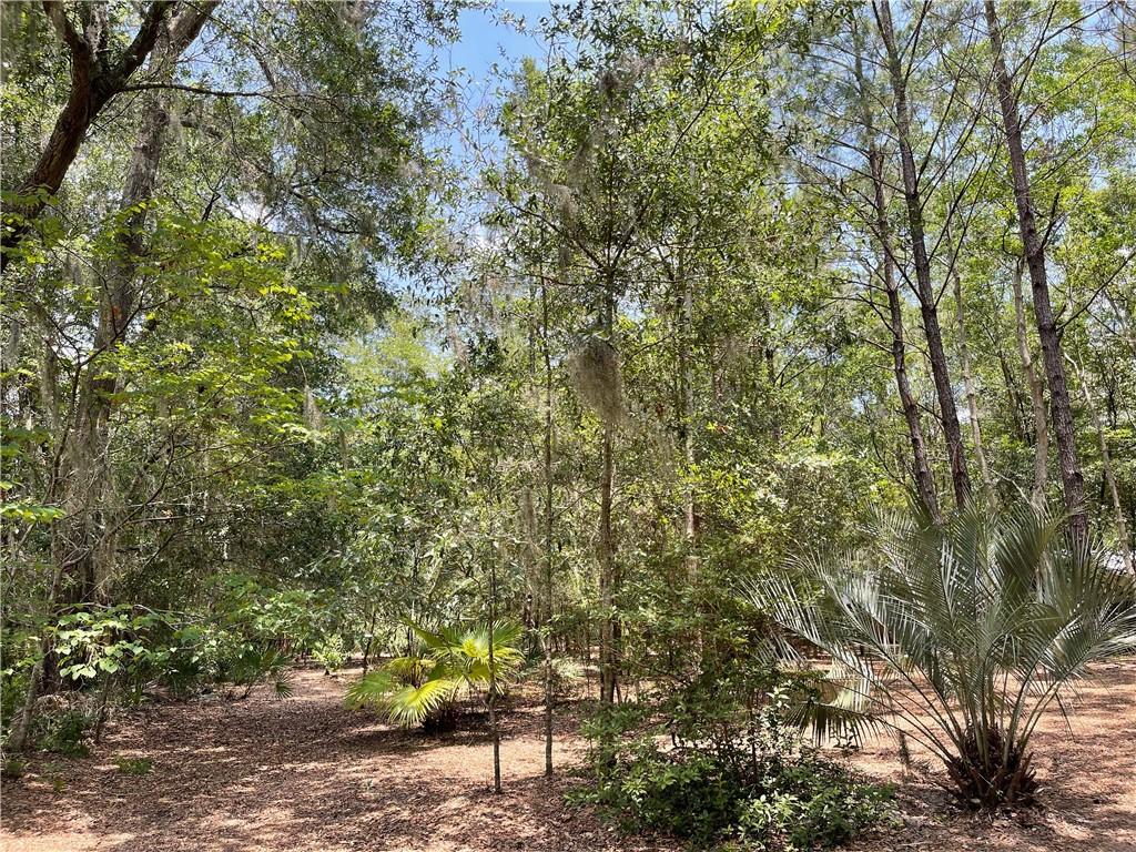 0 Dillingham St, Saint Marys, GA 31558 - photo 2