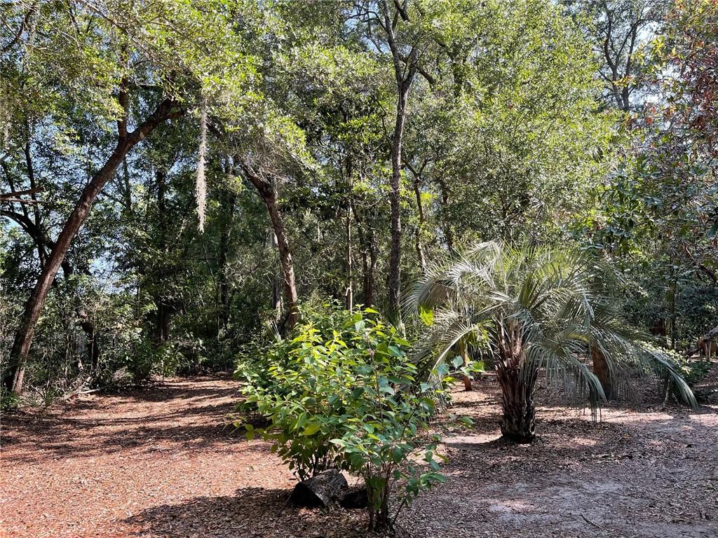 0 Dillingham St, Saint Marys, GA 31558 - photo 1