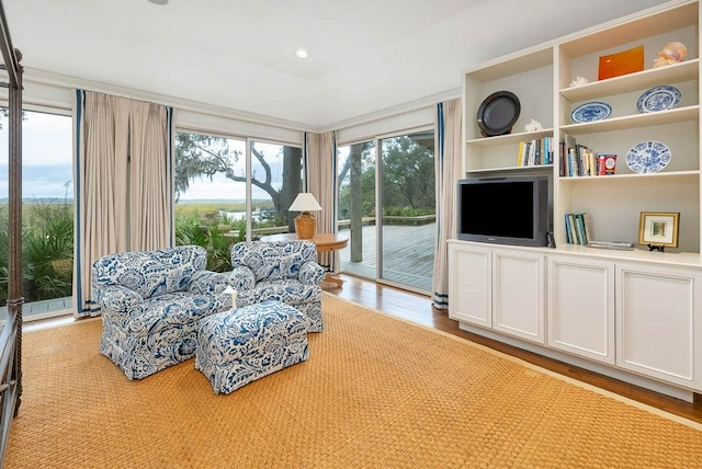 living area featuring light hardwood / wood-style floors