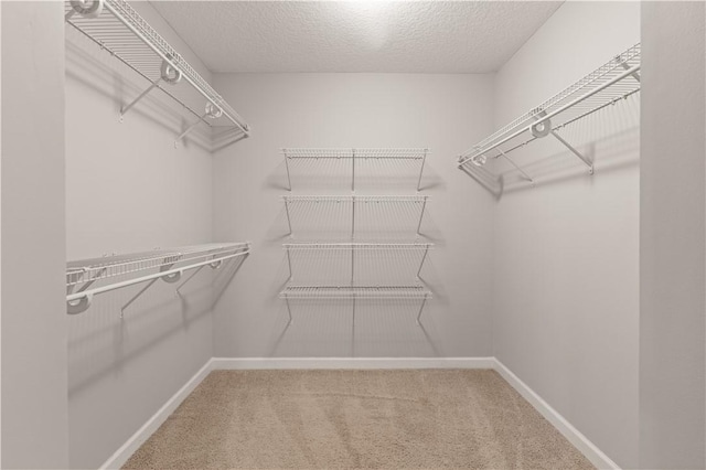 spacious closet with carpet