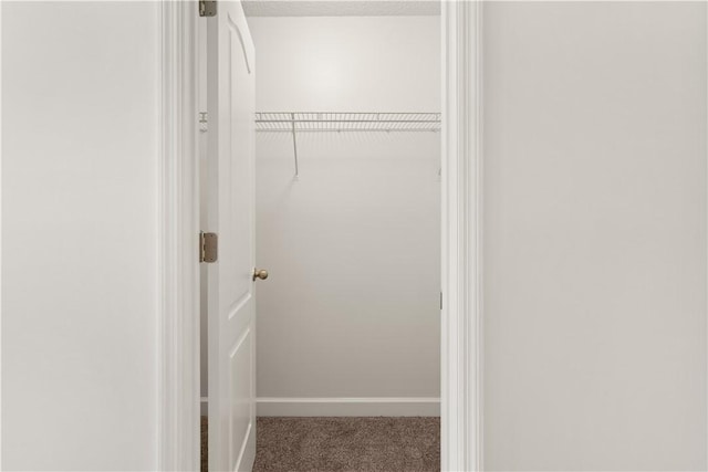 view of closet