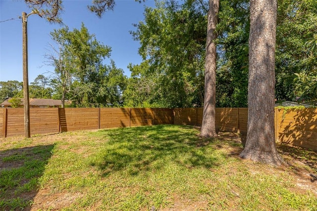 155 Mcdowell Ave, Brunswick, GA 31525 - view of yard
