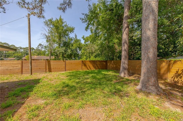 155 Mcdowell Ave, Brunswick, GA 31525 - view of yard