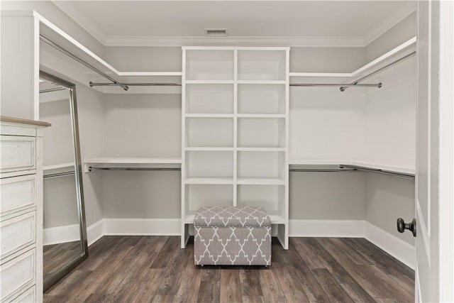 spacious closet with dark wood-style floors and visible vents