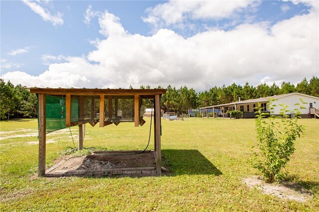 5618 Bowen Rd, Blackshear, GA 31516 - view of green lawn