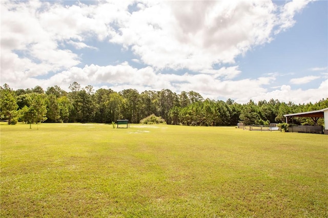 5618 Bowen Rd, Blackshear, GA 31516 - view of grassy yard