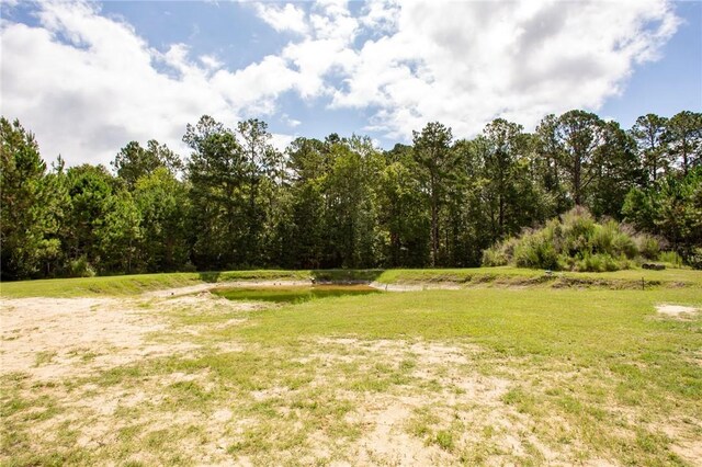 5618 Bowen Rd, Blackshear, GA 31516 - view of grassy yard featuring a forest view