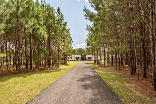 5618 Bowen Rd, Blackshear, GA 31516 - view of property's community with asphalt driveway and a lawn