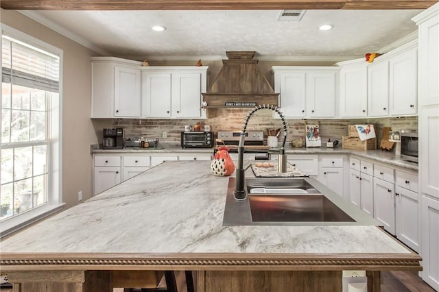 5618 Bowen Rd, Blackshear, GA 31516 - kitchen featuring custom range hood, plenty of natural light, white cabinets, tasteful backsplash, and recessed lighting