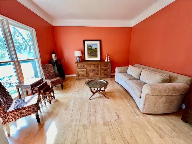 145 Shore Rush Dr, Saint Simons Island, GA 31522 - living area with wood finished floors and ornamental molding