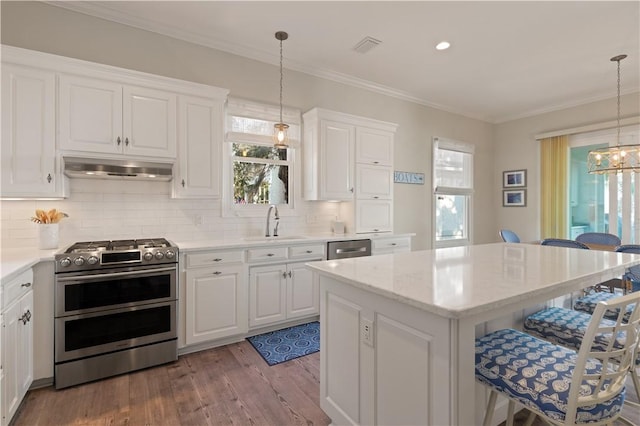 kitchen with ventilation hood, a healthy amount of sunlight, a breakfast bar area, and appliances with stainless steel finishes