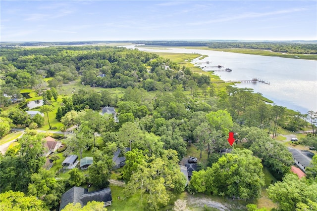 1152 Julienton Lndg NE, Townsend, GA 31331 - aerial view of a large body of water
