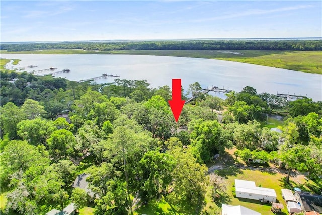 1152 Julienton Lndg NE, Townsend, GA 31331 - bird's eye view of a large body of water