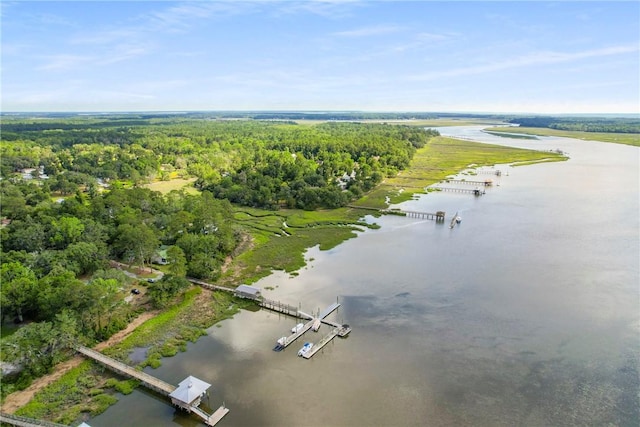 1152 Julienton Lndg NE, Townsend, GA 31331 - aerial view of a large body of water and a heavily wooded area