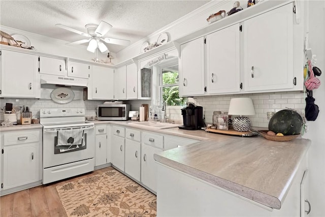1152 Julienton Lndg NE, Townsend, GA 31331 - kitchen featuring electric range, stainless steel microwave, under cabinet range hood, a textured ceiling, and a sink