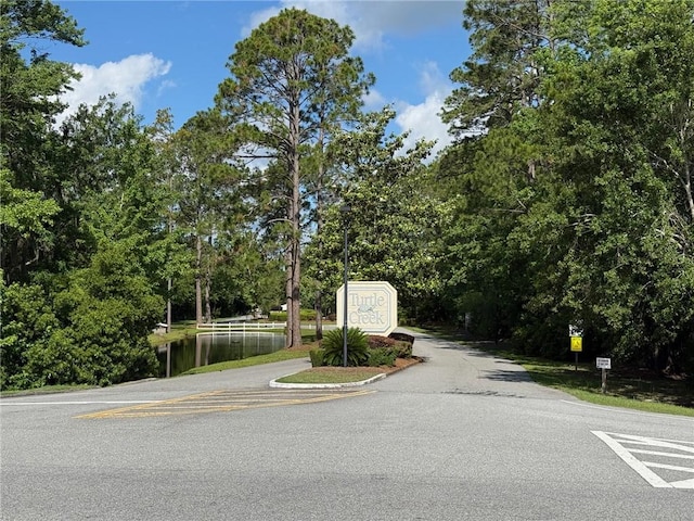 373 Terrapin Trl, Brunswick, GA 31525 - view of asphalt street